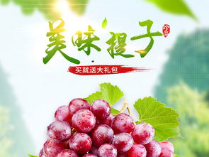 水果葡萄提子菩提水蜜桃主圖直通車PSD設計素材 高清模板下載與食品茶飲應用大全